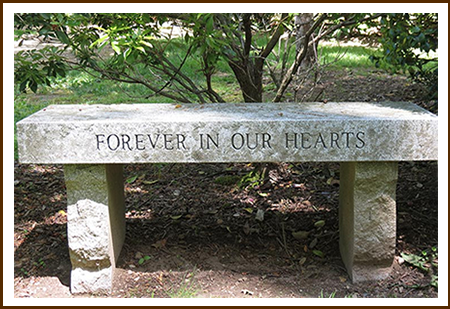 Memorial Bench