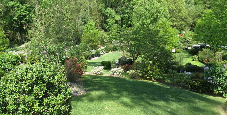 Individual Gravesites